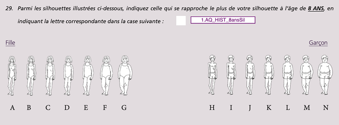 S- Question 8ansSil_Hist